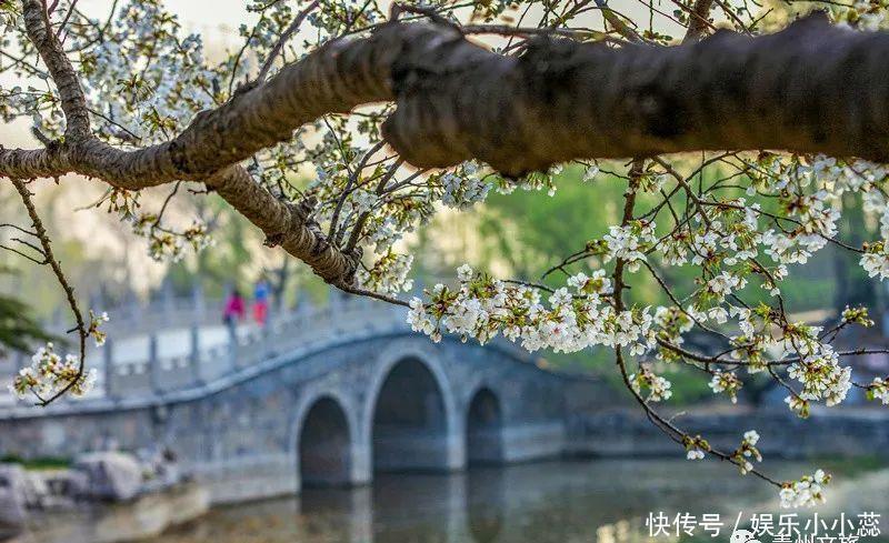 馨香|从五月开始，携一缕浅夏的芬芳，走进青州~