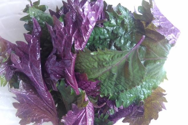 独特|独特的野菜香味,和肉这样搭配做成一道美食,香味闻到都流口水