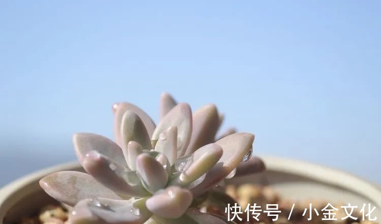 以阳光为滤镜,蓝天为背景,期待拥抱春天,拥抱自然!