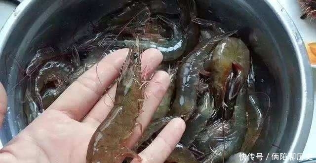 想起|有一种美味叫“年鱼”,能想起的,说明你已经老了!