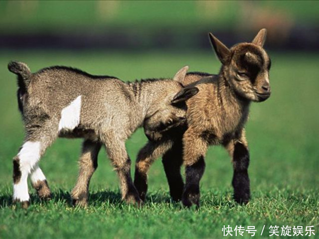 到了通山,必须尝尝的三种美食,看你都吃过吗?