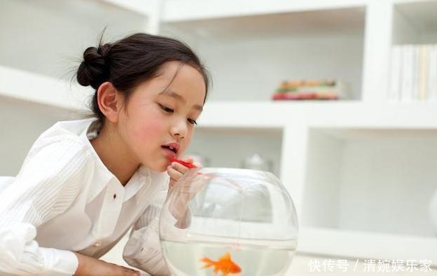 德国|“你女儿可真漂亮”,邻居刚夸完孩子,德国夫妇就把他告上了法庭