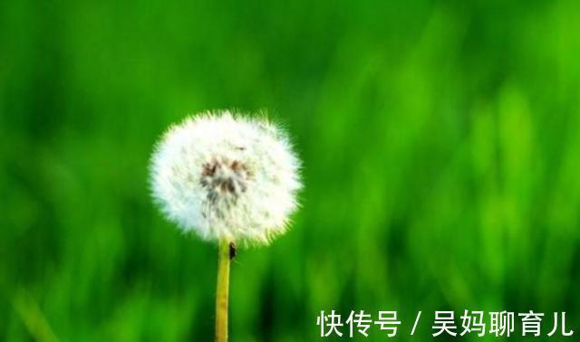 心率|有长寿体质的人,都有6个能力,医生:占的越多身体越健康!