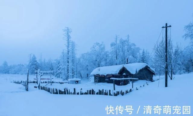 谢道蕴！白居易晚上被冻醒，写下一首夜雪诗，短短20个字，成为咏雪绝唱