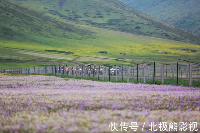 藏族|成都的＂俄么塘＂花海，很适合周末1天打卡，地铁直达免门票