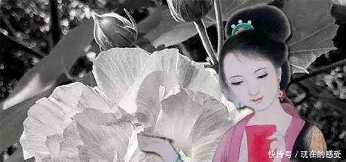 霸占|三个花蕊夫人 赵匡胤一个人就霸占了两个