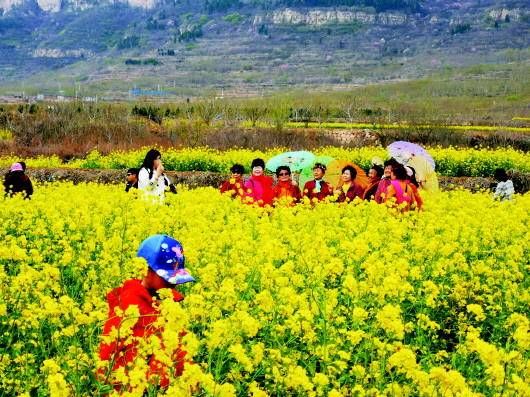 美景|责任耀齐鲁｜处处有美景，月月有节庆，看长清如何玩转乡村旅游