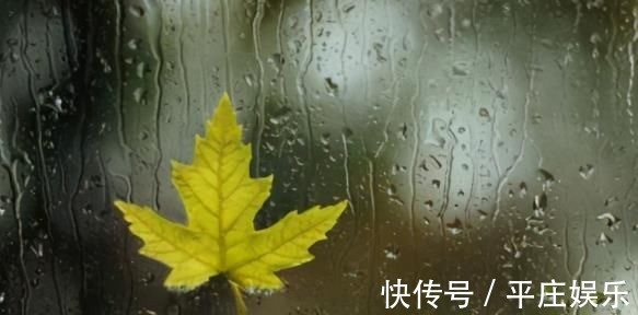 曲池穴|体内湿气太重怎么祛除？中医师：有这三招就够了