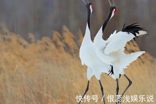 子女|过了60,自私的父母最伟大!此文很有意义,希望中老年人认真读读