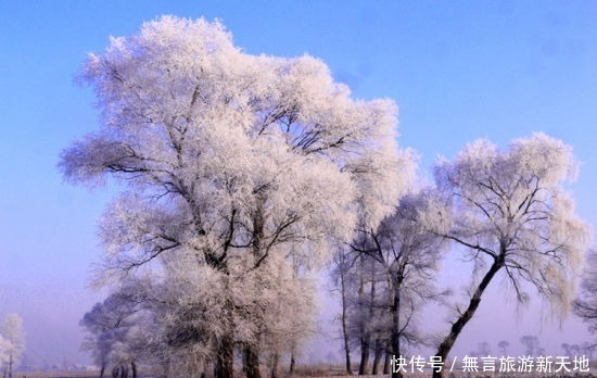 时间|在这个冬天去看一次北国仙境吧，这里有最漂亮的雾凇，你一定会喜欢的