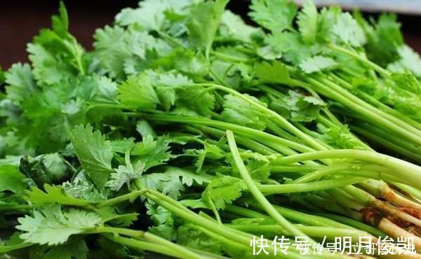 食用油|保存香菜不能直接放冰箱，老农教你一招，放久了不发黄也不烂叶