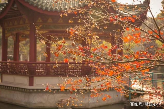 花开花落,皆是生活