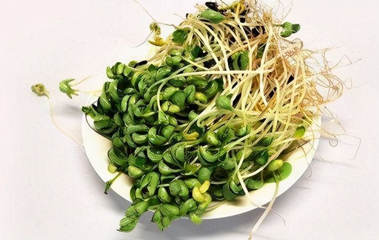 女性養(yǎng)生，推薦吃3種食物，營養(yǎng)豐富，清熱去火，不容錯過