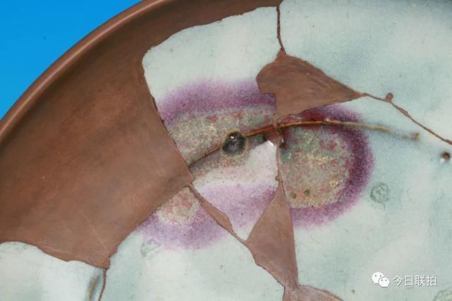 同步|东瀛遗珍,生货倍出中部国际第二届网络同步拍上线