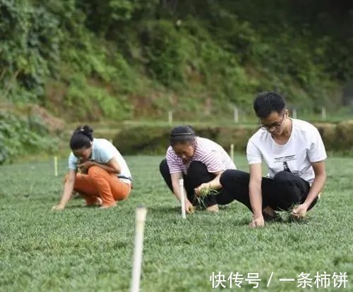 敏感肌|坏脸系列:十二个变丑作死的坏习惯,姐妹中招了吗?对号入座哦