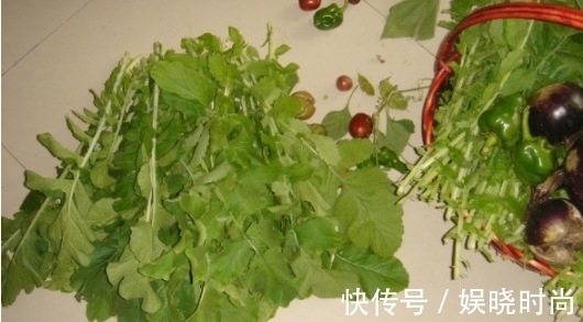 嫩萝卜叶|在农村都没人吃,地里一抓一大把,常吃能防癌、防近视