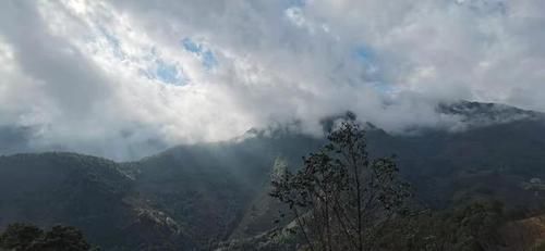 冬日樱花浪漫的无量山，竟然就是天龙八部中的神秘之境