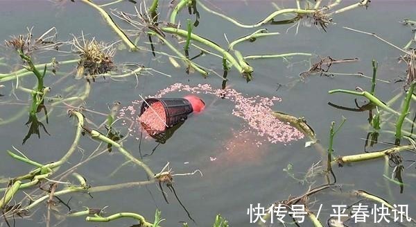 大区别|冬钓聚鱼技巧,打窝诱鱼只是基本,以鱼诱鱼,才能做到鱼口不间断