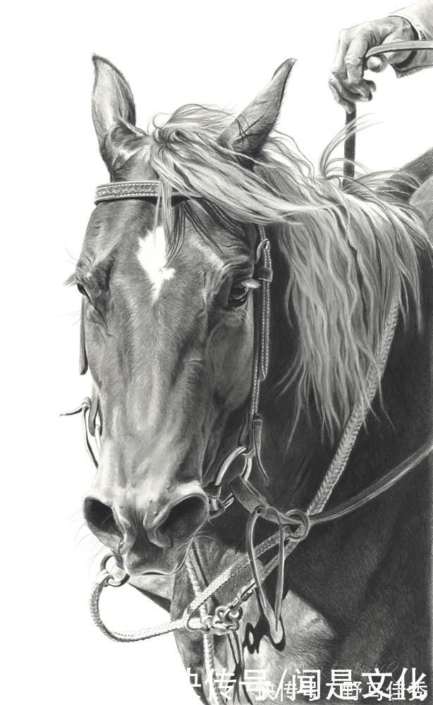 快乐时光|美国写实主义女艺术家--玛丽·罗斯·布赫霍尔茨