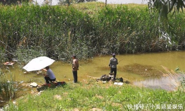 钓鱼|农村小河沟中钓起一条这样的鱼, 我赶紧收杆离开这一水域