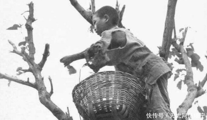 1936年大饥荒, 10张差点销毁的老照片, 百姓树皮为食