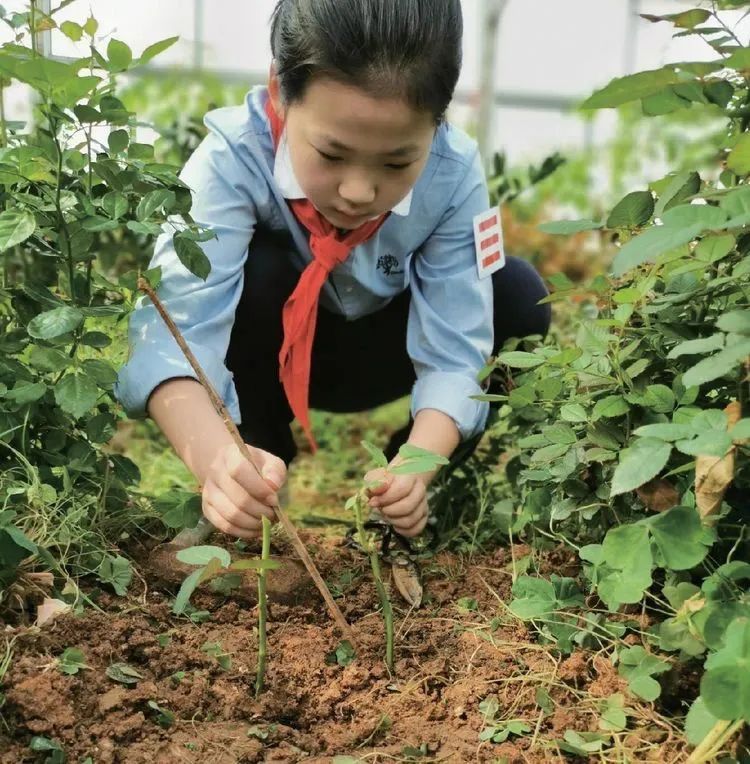 黄伟星|大司巷小学教育集团总校长黄伟星： 育人为本 打造小学和悦教育