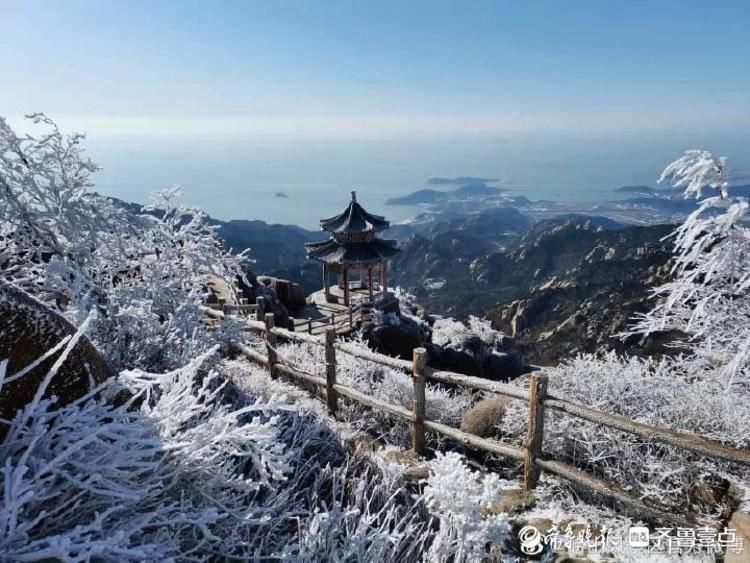 第一场雪|崂山迎来今冬第一场雪，白雪雾凇分外妖娆