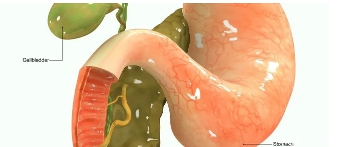 医生提醒：经常有胃病消化不好的患者，需要多看看这篇文章