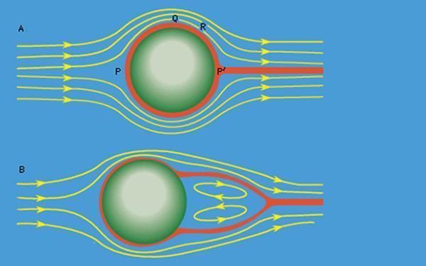 南海上的岛礁绝大多数都是环状的,为什么呢?