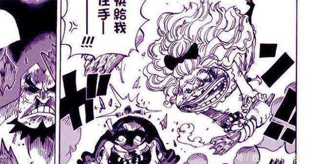 海贼王|海贼王欧文是大妈和凯多的孩子网友看完长相后我真信了