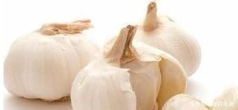 自制|6个方法教你自制生根水,用了它,随便掐个枝就能生根,还爆盆!