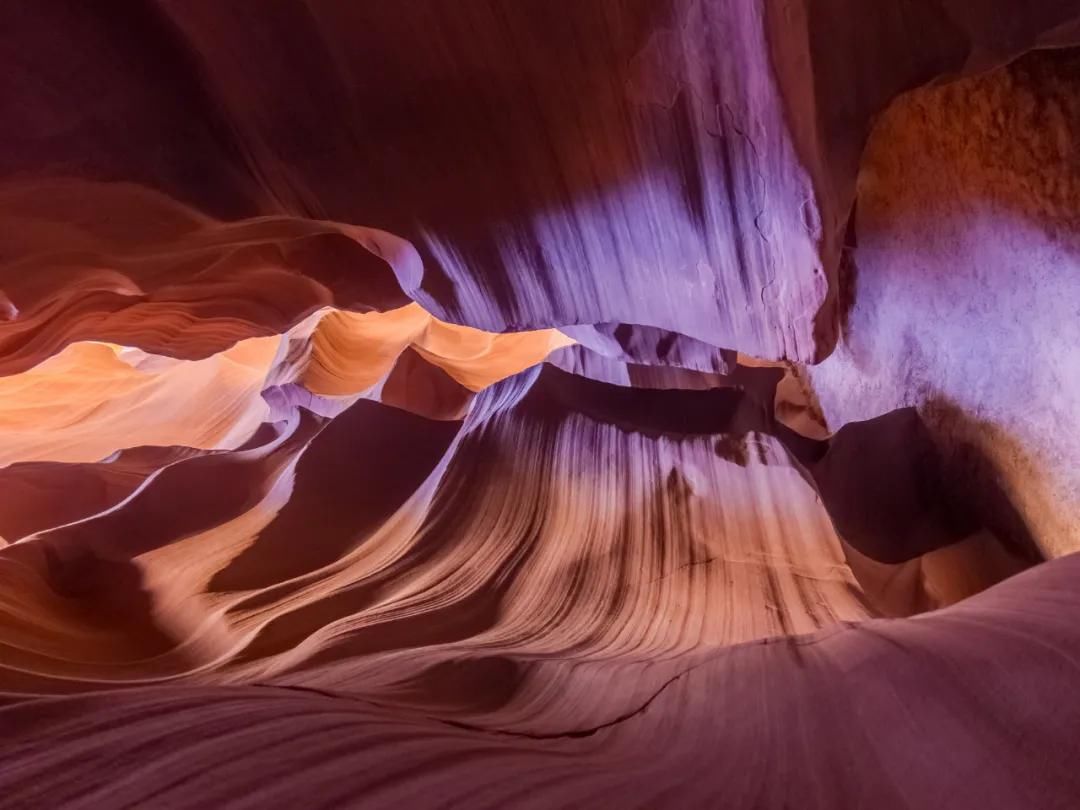 结节|刀下“留肺”!容易误认为癌性“肺结节”的8种感染