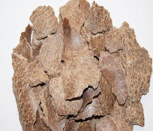 养了3年蟹爪兰，没有开花迹象，在盆里丢点“它”，冒花30朵！