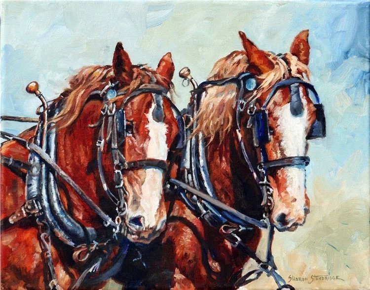 莎朗·斯坦德里奇#美国西牧风情油画 | 莎朗·斯坦德里奇作品欣赏