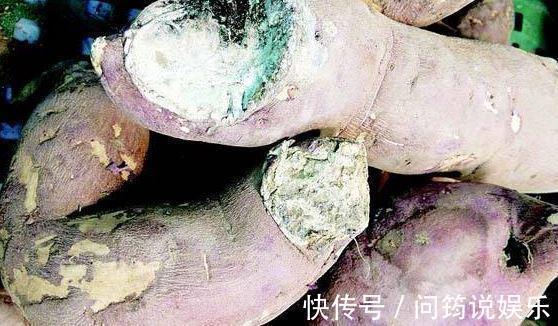 枣子|煮粥时不能放的3种食物,危害家人健康,早知早受益