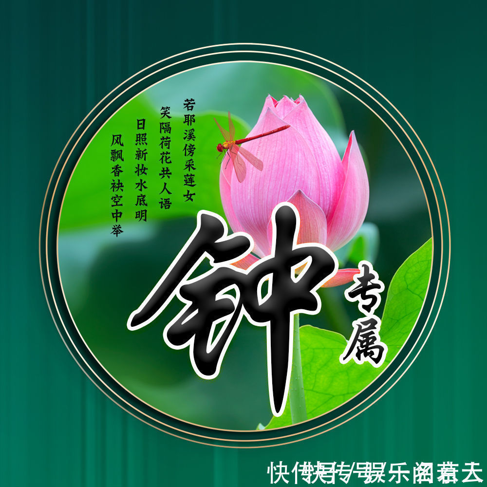 世人大!用你的姓氏当头像,20张唯美荷花大气图片,中国风华丽登场