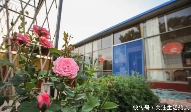旧农舍改造成花园，一年四季花开不断，邻居看了羡慕的不得了！