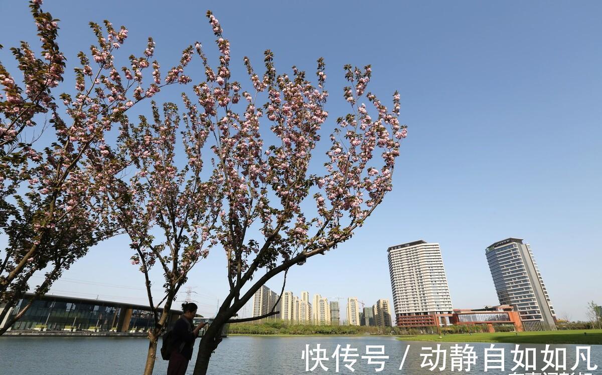 彭叔|南京楼市回归理性，南京高房价时代已经结束了，8月第一周南京楼市数据出炉