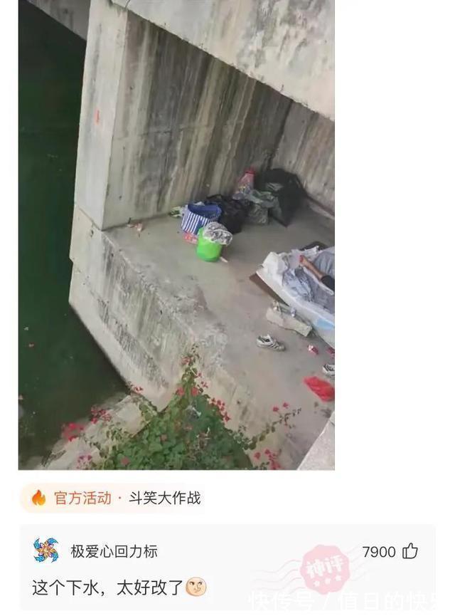 |搞笑神评:当初让你好好上学,你偏说放牛好