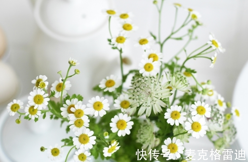 双鱼座|这几年,4个星座,有才华,有能力,和他们做朋友能共同进步