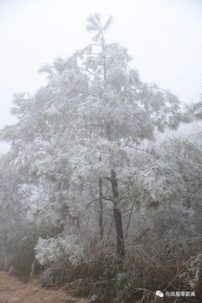 谁说我们潮州揭阳不下雪？汕头就郁闷了