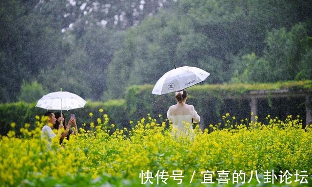 南国|长春油菜花海惹人醉 公园5000平花海怒放 成网红打卡地