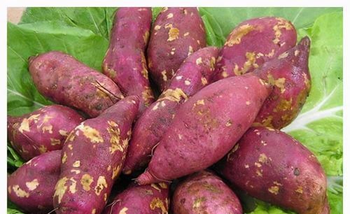  食物|女性可以多吃3种食物，营养丰富、延缓衰老，早吃早健康！