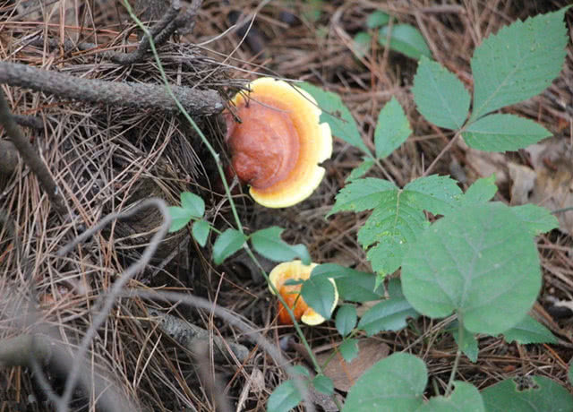 睡眠时间|揭秘医生为何很少患癌“3件事”他们从来不碰