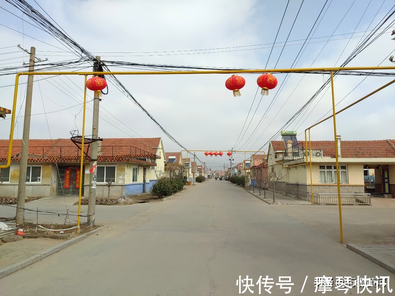 胶东|阔别10年8旬大姨回老家,外甥女做猪耳朵打卤面,一顿饭花了40元