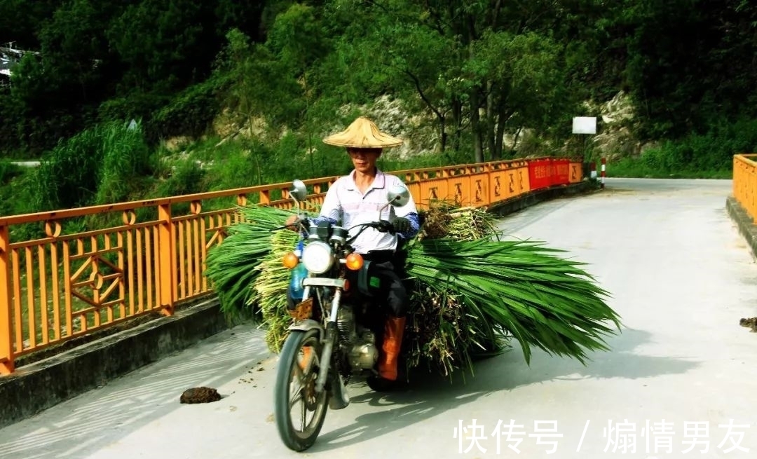 石狗@到南安!到九溪!到那“石狗蛋”的山中世界!