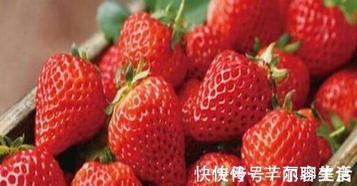 湿气|入冬后,多吃三种养生食物,腰不疼,腿不酸,赶走体内湿气