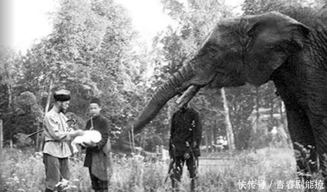 阶下囚|沙皇未代皇室，一战时从皇室变阶下囚，全家七口被集体枪杀