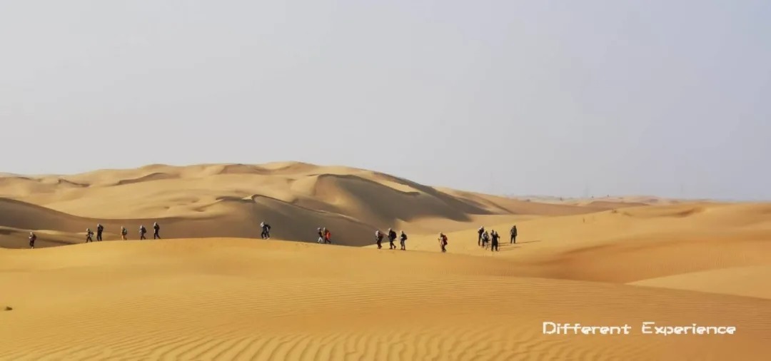 网络游戏|怎么做才能让孩子远离电子游戏,用体育为青春赋能?