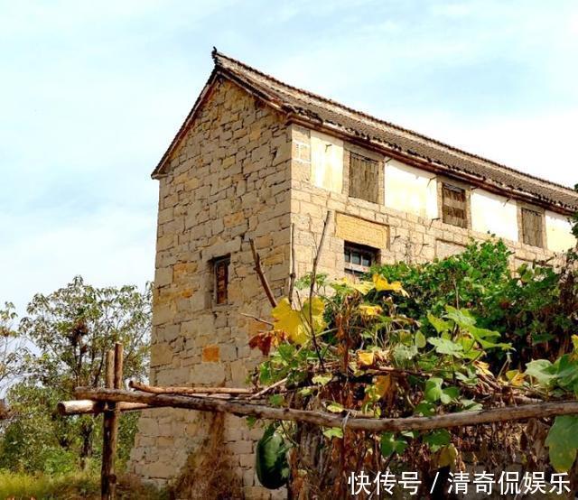 河南|河南最美休闲乡村，家家户户骑驴车出行，距今已有600年历史